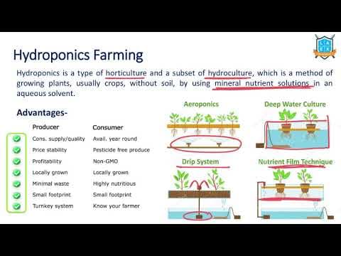 What is Hydroponic Farming ? || Hydroponics అంటే ఏమిటి?