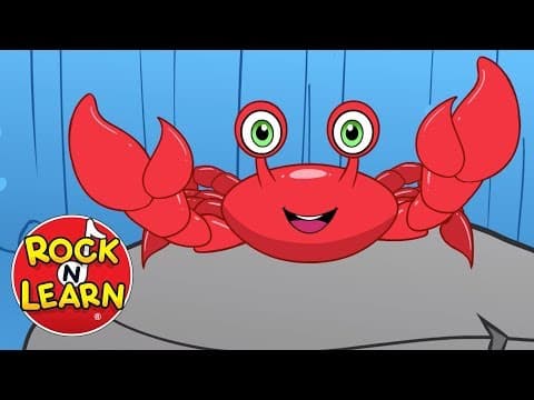 There’s a Hole in the Bottom of the Sea - Fun Memory Song for Kids