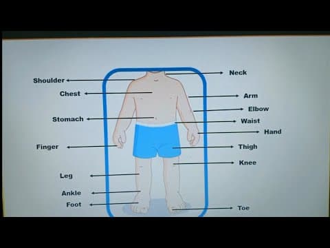 Parts of our body for kids