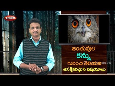 Interest facts about Animal eye in Telugu | Science fun facts in Telugu