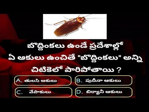 Telugu facts/unknown facts Telugu/interesting facts in telugu//unique gk bits telugu #Ep28