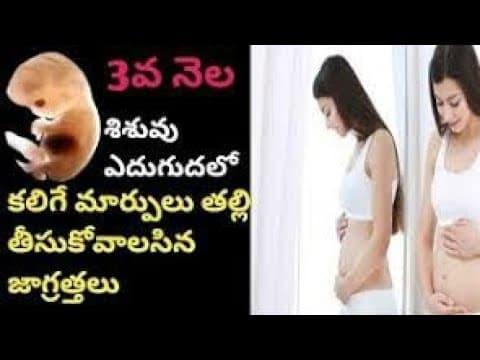 ప్రెగ్నెన్సీ 3వ నెల | 3 month of pregnancy baby movements in telugu | baby growth | 1st trimester