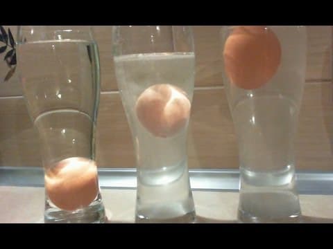 Eggs & Salt Water - float an egg in the middle of salt water