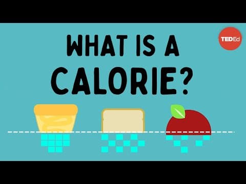 What is a calorie? - Emma Bryce - YouTube
