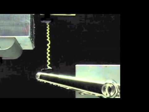 Unwinding the Cucumber Tendril Mystery