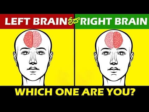మీ మెదడు పని తీరును తెలుసుకోండి| Are you RIGHT or LEFT Brain person |Test your Brain Power.