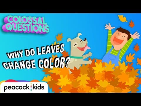 Why Do Leaves Change Color? | COLOSSAL QUESTIONS