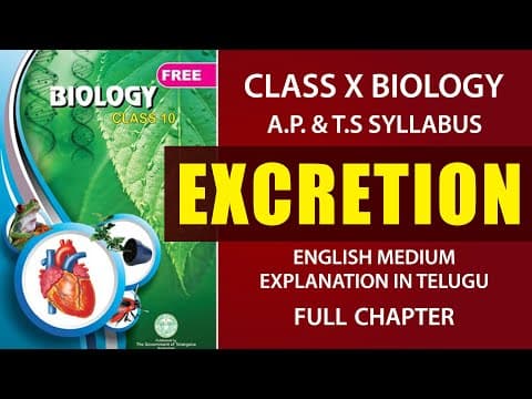 Excretion Full chapter| Human excretory system Explanation in telugu
