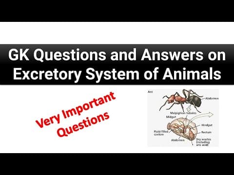 GK #ExcretorySystem GK Questions and Answers on Excretory System of Animals