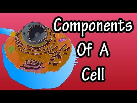 Cell Parts Components And Their Functions - Structure Of A Cell - Functions Of A Cell