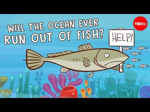 Will the ocean ever run out of fish? - Ayana Elizabeth Johnson and Jennifer Jacquet - YouTube