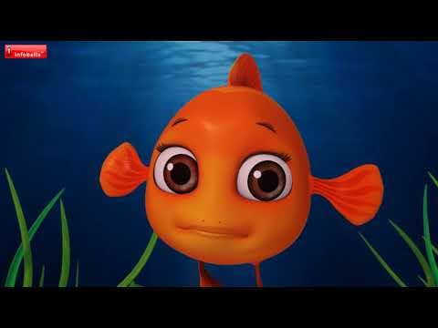 हंस और उल्लू की कहानी | Hindi Stories for Kids | Infobells