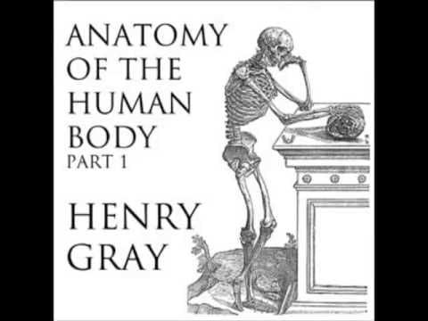 Anatomy of the human body full audiobook - part 2 of 39
