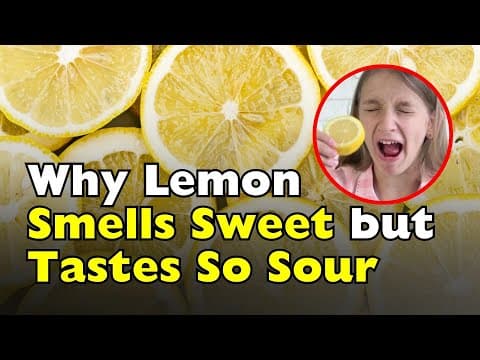 Lemon Taste vs. Smell: Why Lemons Confuse Your Senses