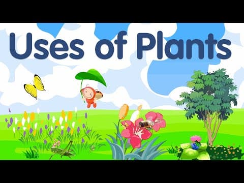 Uses of Plants for kids | Plants and their uses | Plants uses
