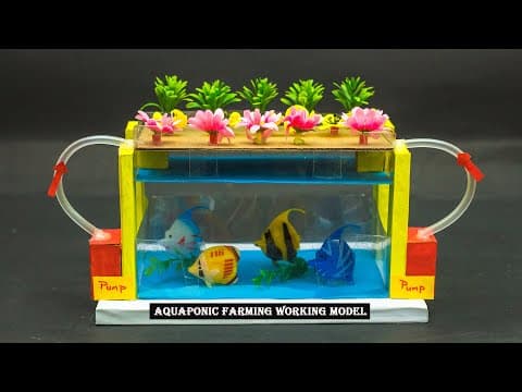 School Science Projects | Aquaponic Farming Working Model