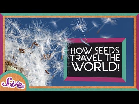 How Do Plant Seeds Travel? | Spring is Here!
