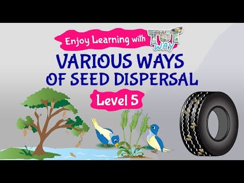 Various ways of Seed Dispersal | Science