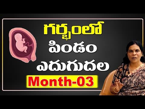 గర్భంలో పిండం ఎదుగుదల - dr rama devi in telugu - month-03 - baby growth in womb - fetus development