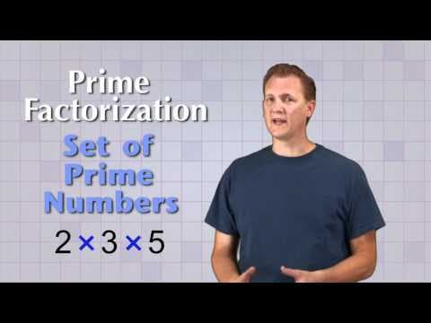 Math Antics - Prime Factorization - YouTube
