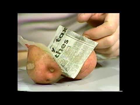 Raw Potato Physics Tricks