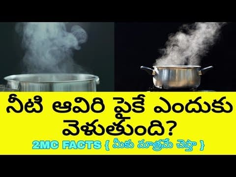 Why does vapour (నీటి ఆవిరి )goes up?
