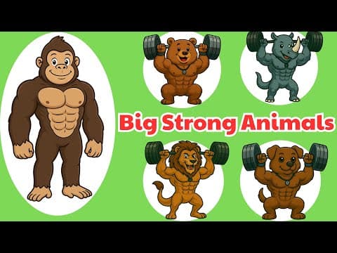 π΅ ABC Animals on the Boat - Funny Animal Sounds & Alphabet Song for Kids | Meow Meow TV π€π¦π΅