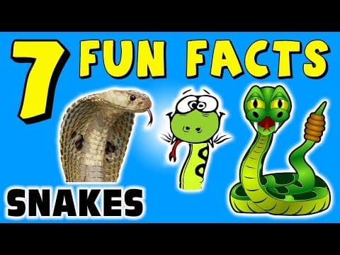 7 FUN FACTS ABOUT SNAKES! FACTS FOR KIDS! Reptiles! Learning Colors! Funny