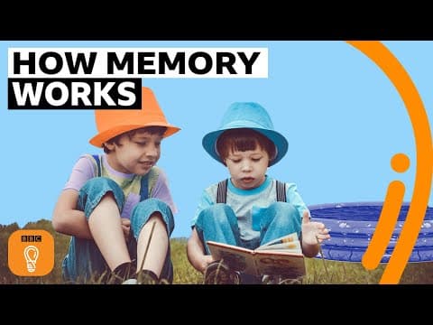 Why your first memory is probably wrong | BBC Ideas