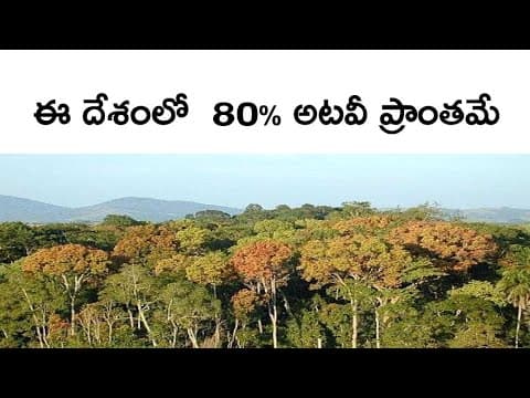 Gabon history,economy ,places etc…