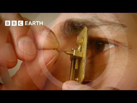 The Gadget That Changed How We See The World | Cell | BBC Earth Science