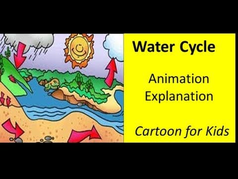 The Water Cycle Animation Video for Kids - YouTube