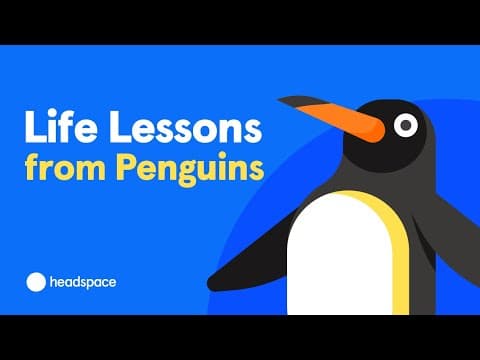 Six tropical butterflies take off in slow-motion