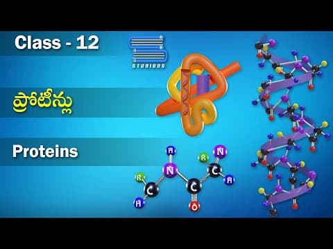 ప్రోటీన్లు – Proteins | Biochemistry | Chemistry Telugu