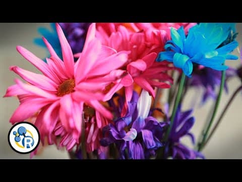 How to Make Flowers Last Longer