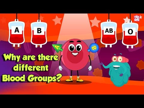 Types Of BLOOD GROUPS | Why Are There Different Blood Groups?