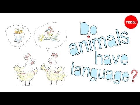 Do animals have language? - Michele Bishop - YouTube