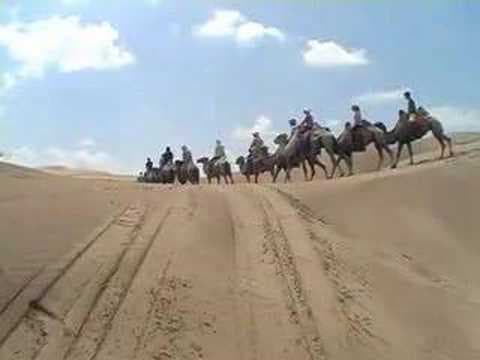 Gobi Desert