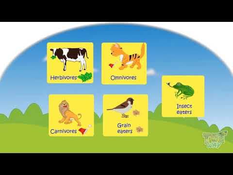 Animals Food and Shelter