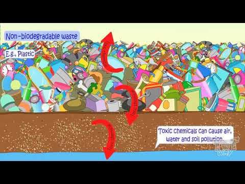 Biodegradable and Non-Biodegradable Waste: Science