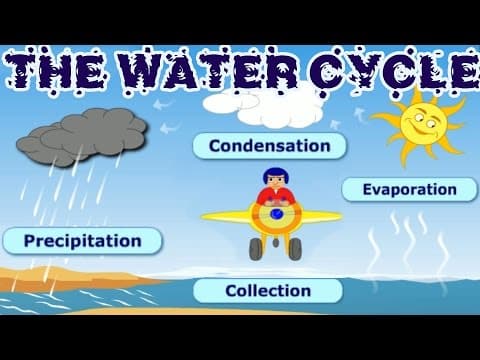 The water cycle collection condensation precipitation evaporation