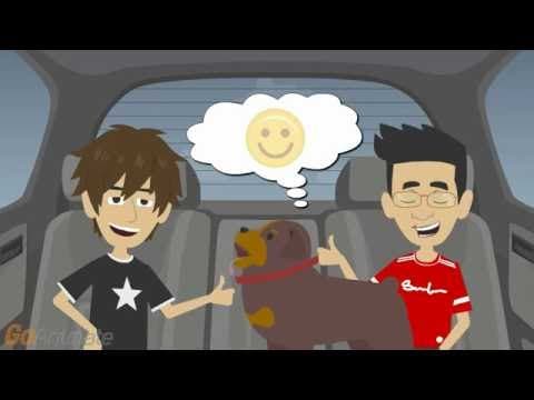 The art of the compromise