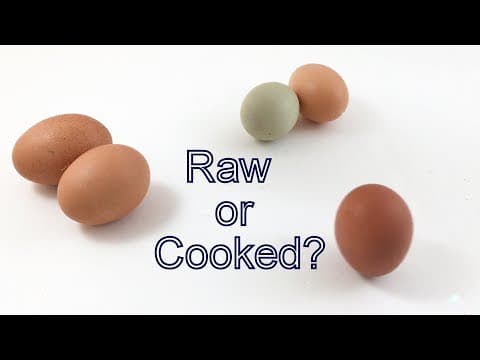 Is the Egg Raw or Cooked? STEM activity