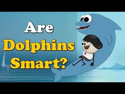 Are dolphins smart?