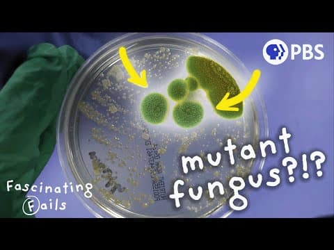 How To Accidentally Save the World (with Fungus)
