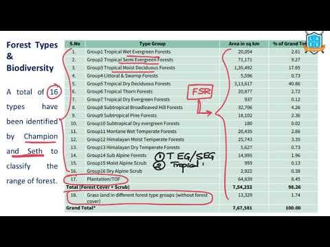 What are the Types of Forests in India ? || Types of Forests in India అంటే ఏమిటి?