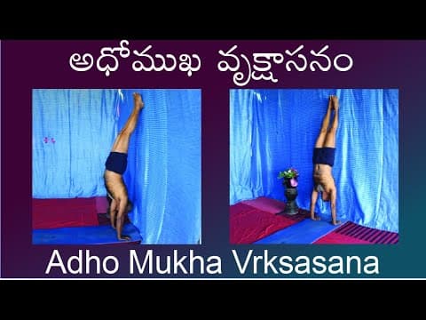 Adho Munha Vrksasana by Kuppi Reddy | Benefits of Adho Munha Vrksasana | Yoga | Yoga in Telugu