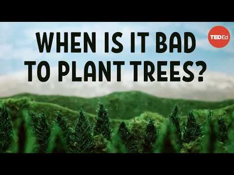 Does planting trees actually cool the planet? - Carolyn Beans - YouTube