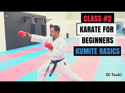 Martial Arts for Beginners – Lesson 2