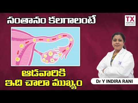 సంతానం కోసం ఆడవారికి ఇది చాలా ముఖ్యం | Role of Progesterone In Pregnancy in Telugu